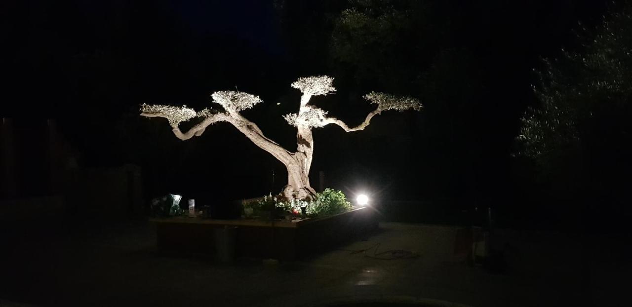 Les Gites De L'Arbousier Quissac  Екстериор снимка